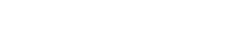 Business Development Federation